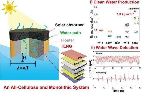 中国海洋大学在新型光热污水处理 海水淡化研究等方面取得重要进展