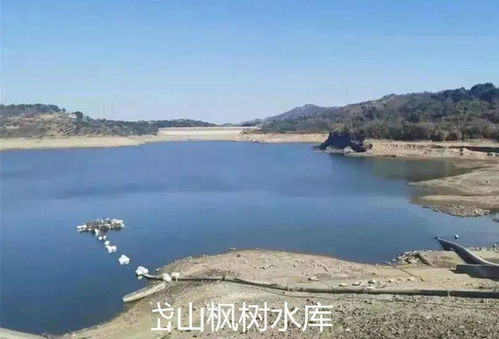 舟山饮用水库蓄水率已低于35 │六横海水淡化厂向桃花岛供水